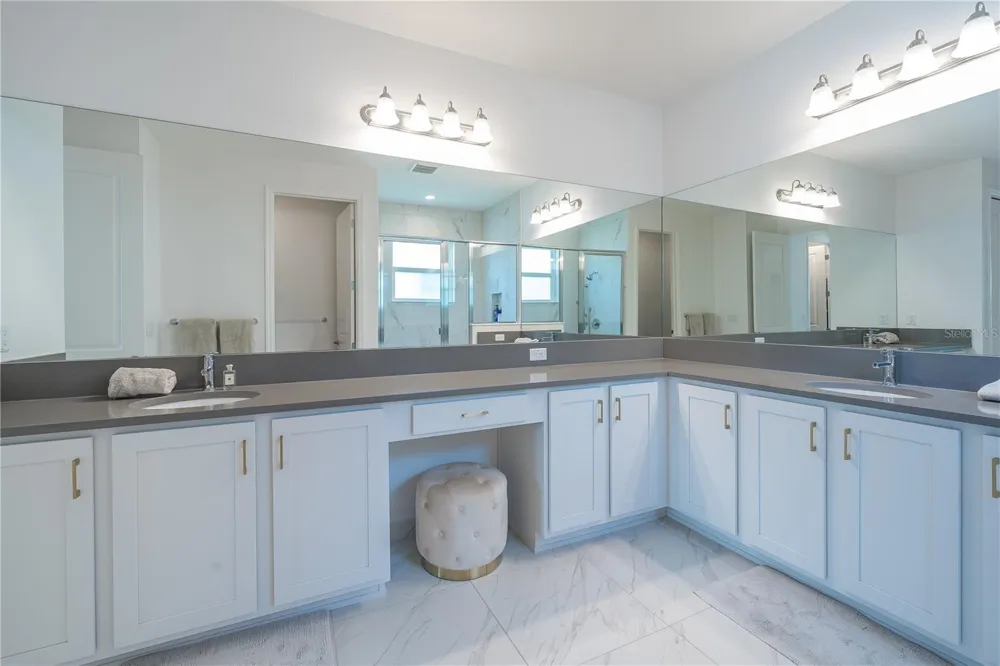 3290 GREAT BANYAN WAY Wesley Chapel, FL 33543