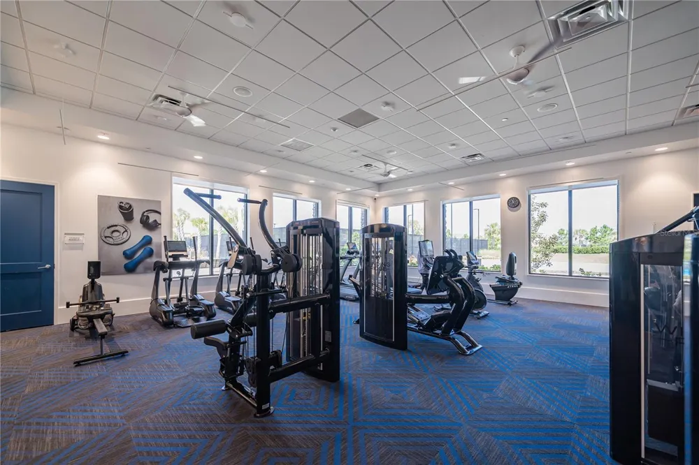 3290 GREAT BANYAN WAY Wesley Chapel, FL 33543