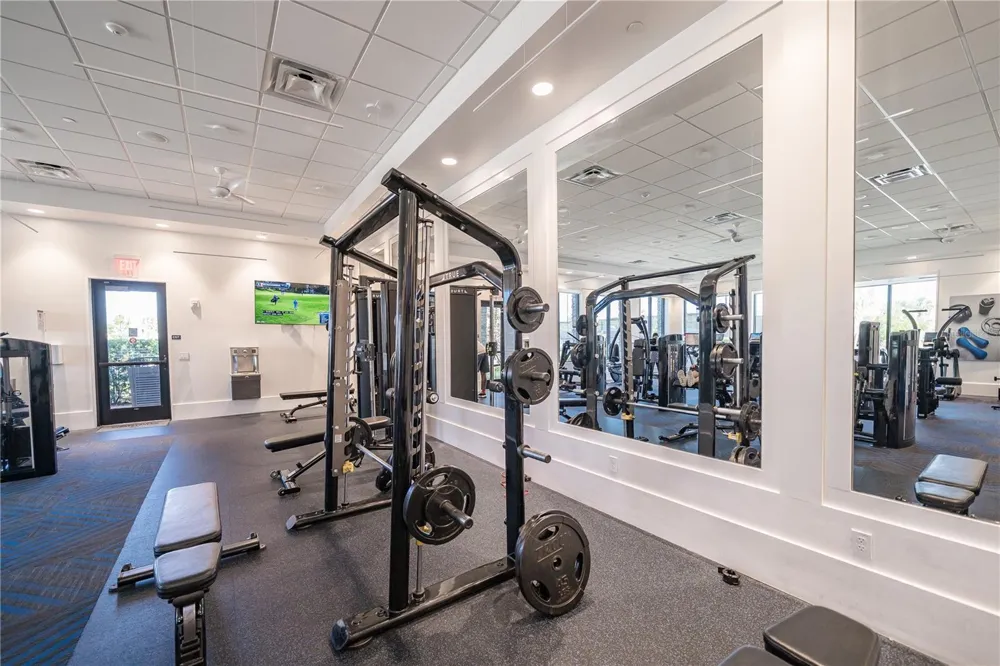 3290 GREAT BANYAN WAY Wesley Chapel, FL 33543