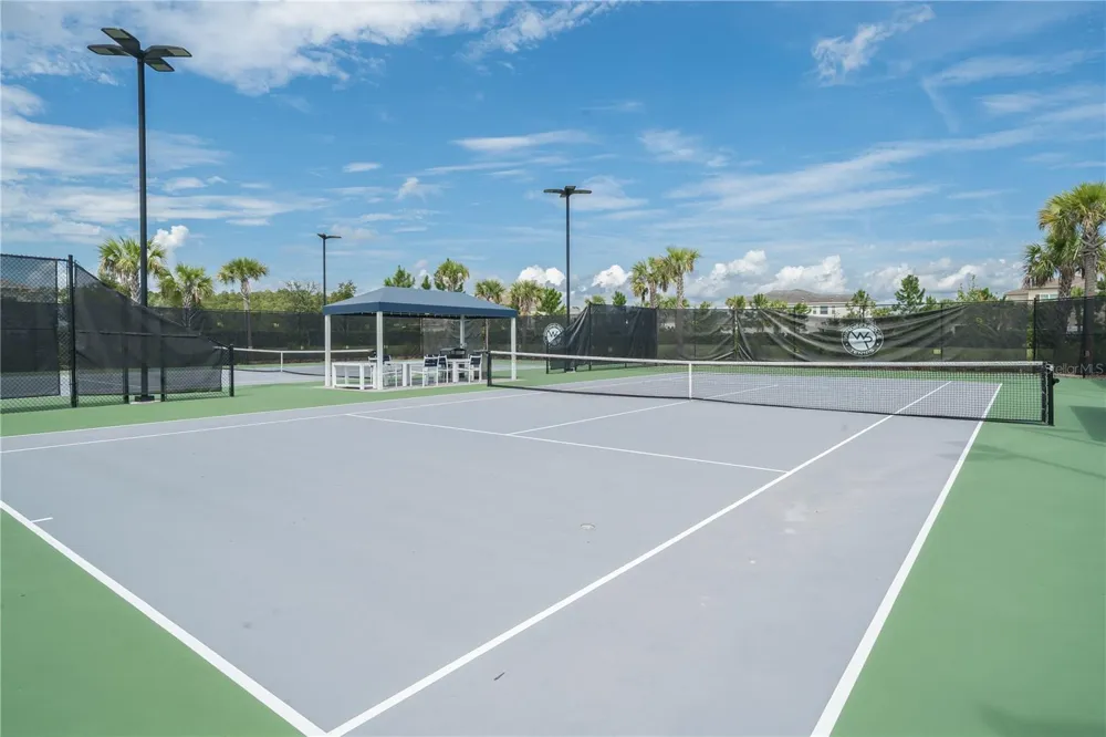 3290 GREAT BANYAN WAY Wesley Chapel, FL 33543