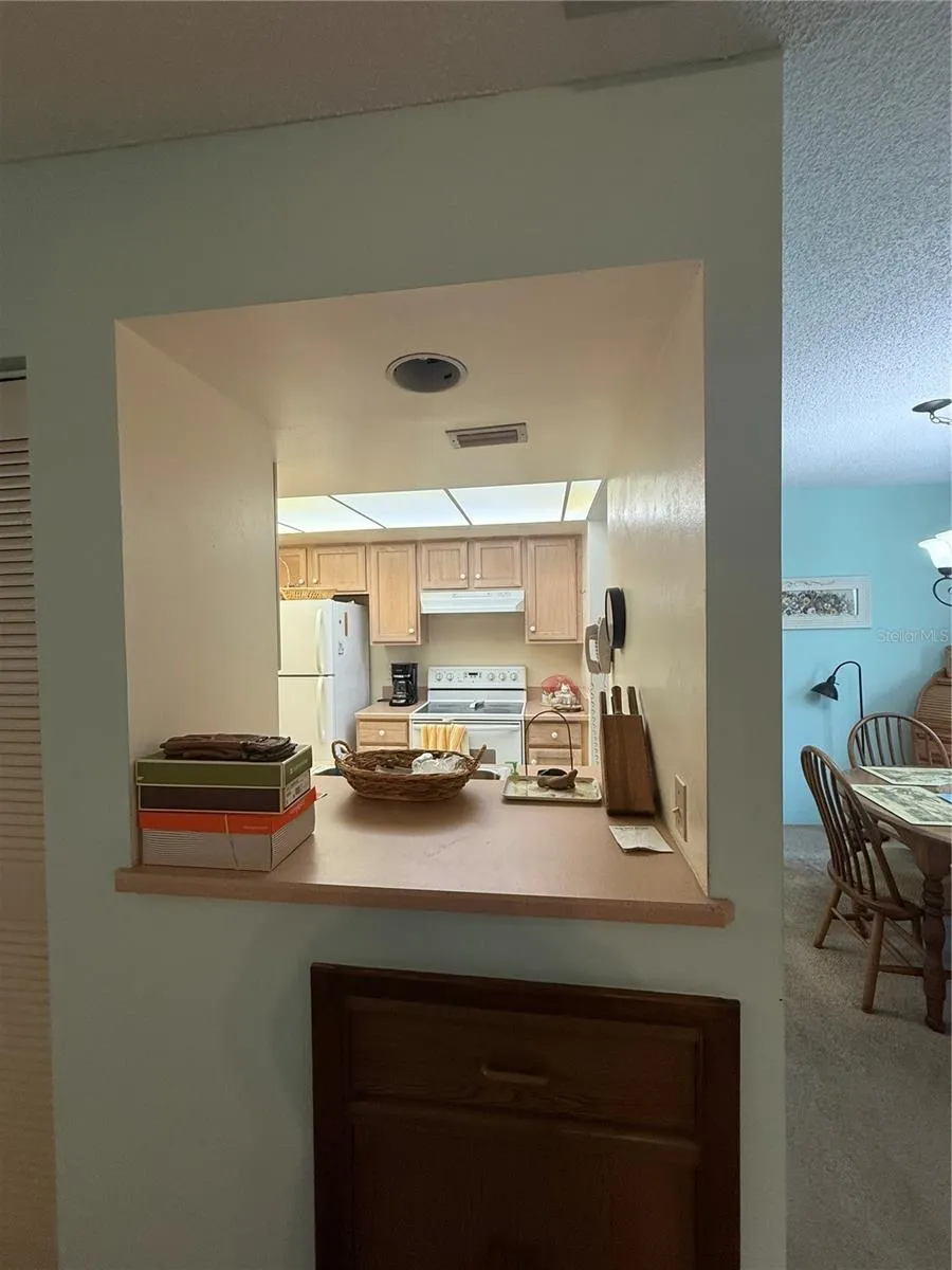 308 PALM COAST PKWY #202 Palm Coast, FL 32137