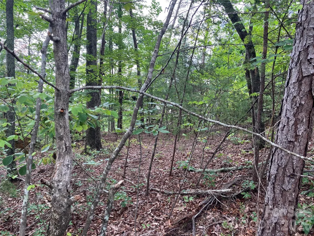 00 Tyler Terrace #Lot 11 Rutherfordton, NC 28139