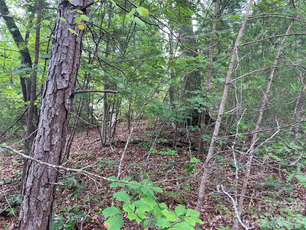 00 Tyler Terrace #Lot 11 Rutherfordton, NC 28139