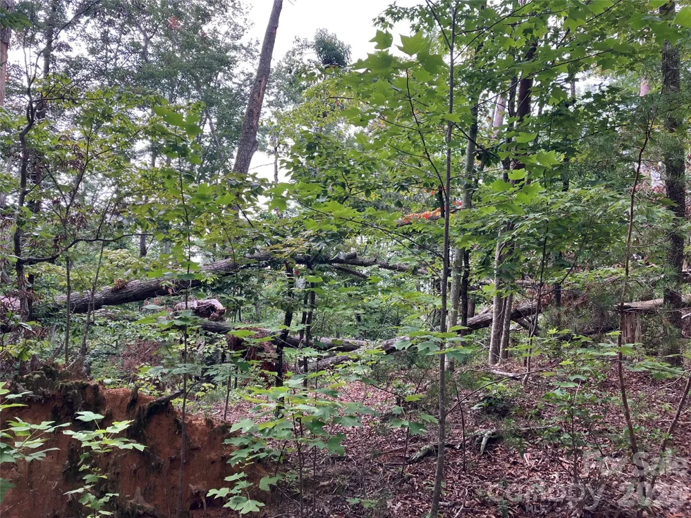 00 Tyler Terrace #Lot 11 Rutherfordton, NC 28139