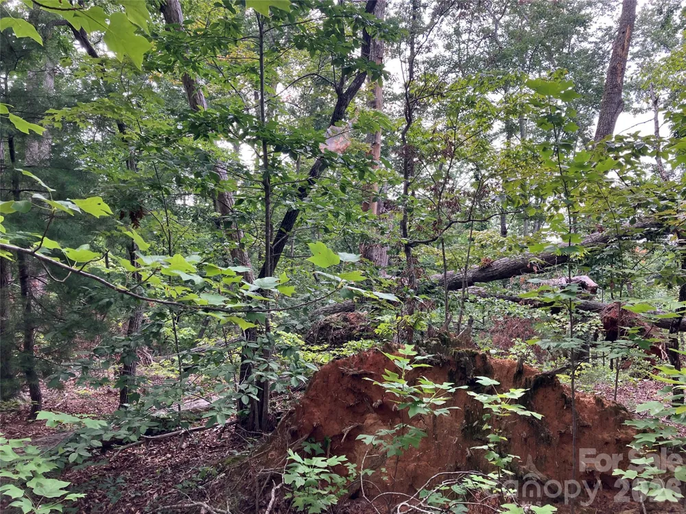 00 Tyler Terrace #Lot 11 Rutherfordton, NC 28139