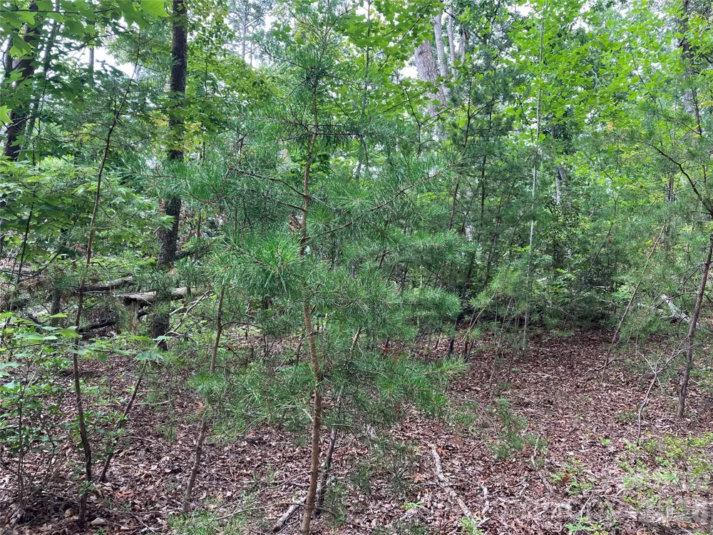 00 Tyler Terrace #Lot 11 Rutherfordton, NC 28139