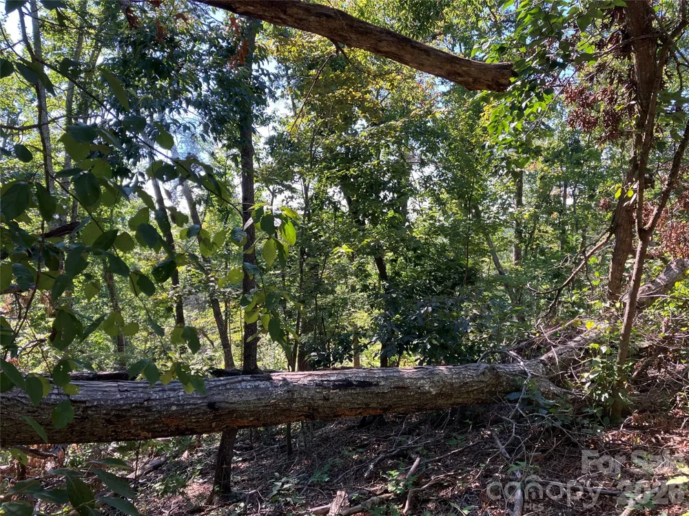 00 Tyler Terrace #Lot 11 Rutherfordton, NC 28139
