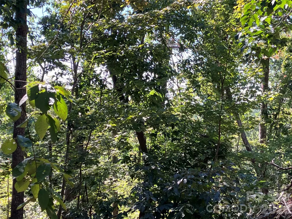 00 Tyler Terrace #Lot 11 Rutherfordton, NC 28139