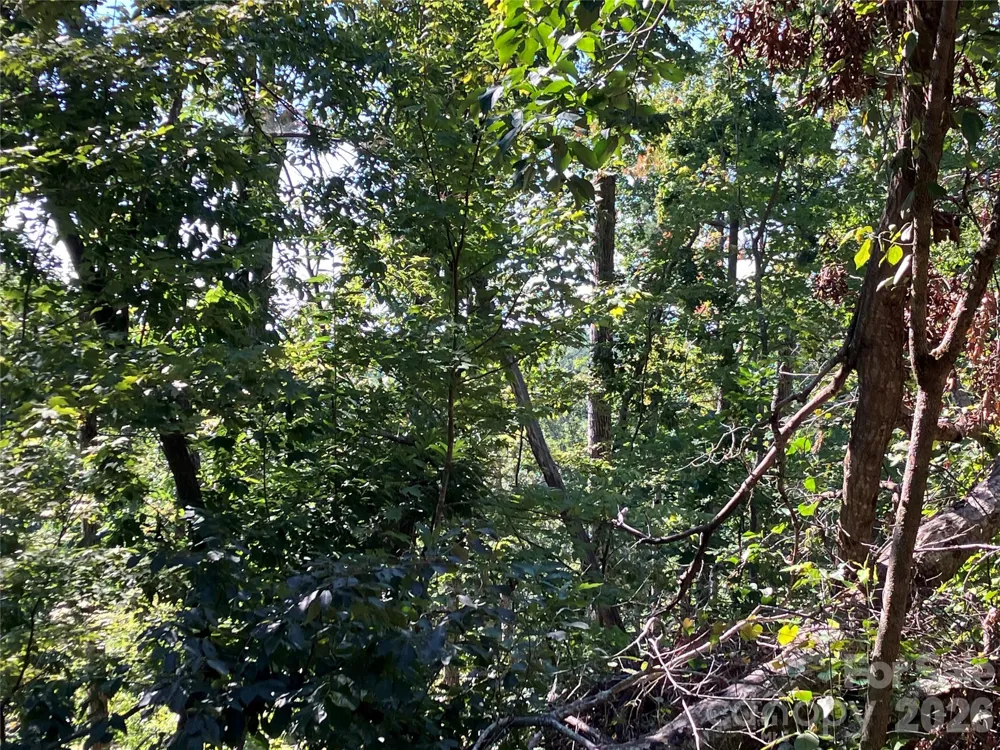 00 Tyler Terrace #Lot 11 Rutherfordton, NC 28139