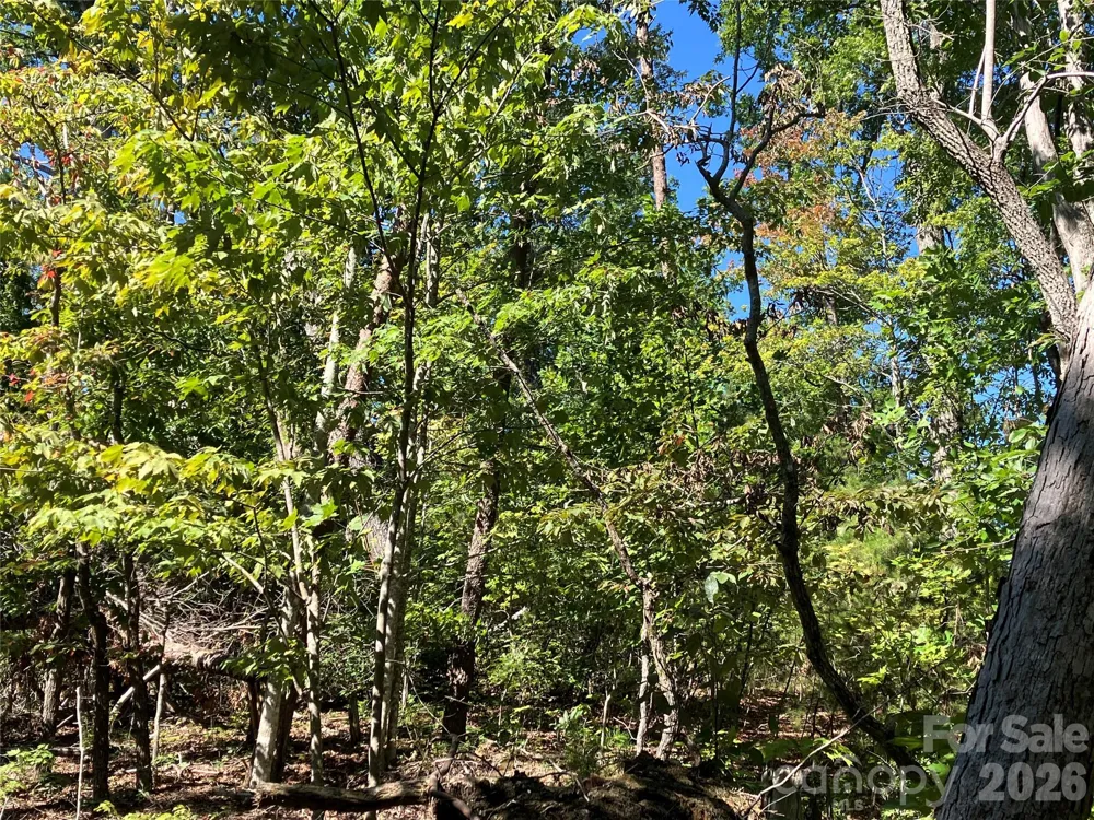 00 Tyler Terrace #Lot 11 Rutherfordton, NC 28139