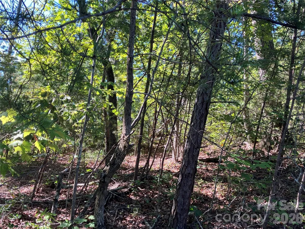 00 Tyler Terrace #Lot 11 Rutherfordton, NC 28139