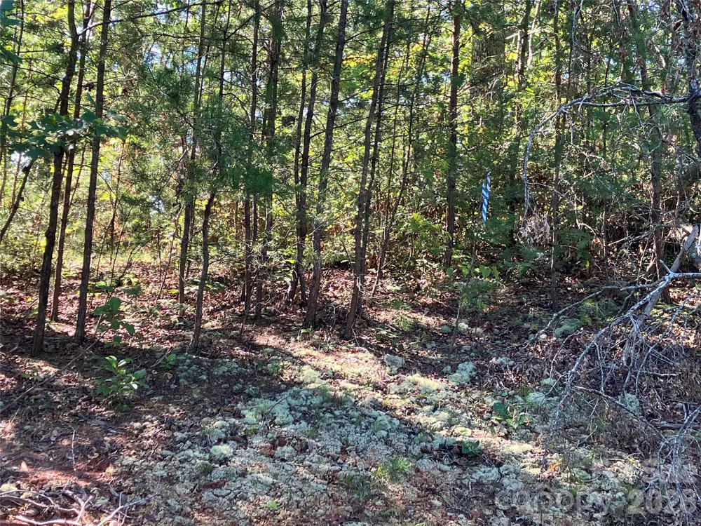 00 Tyler Terrace #Lot 11 Rutherfordton, NC 28139