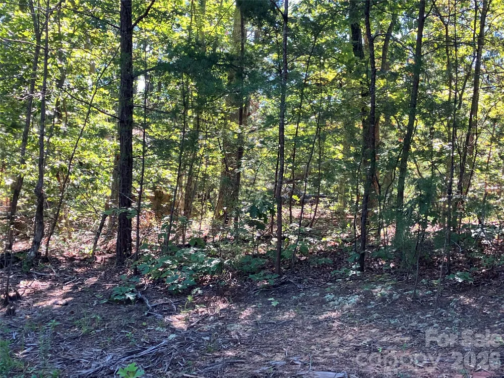 00 Tyler Terrace #Lot 11 Rutherfordton, NC 28139