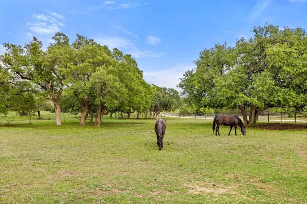 2560 Bell Springs Road Dripping Springs, TX 78620