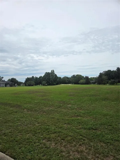 517 DOWLING CIRCLE