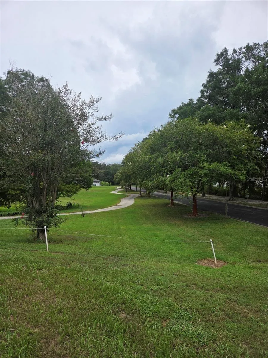 517 DOWLING CIRCLE Lady Lake, FL 32159