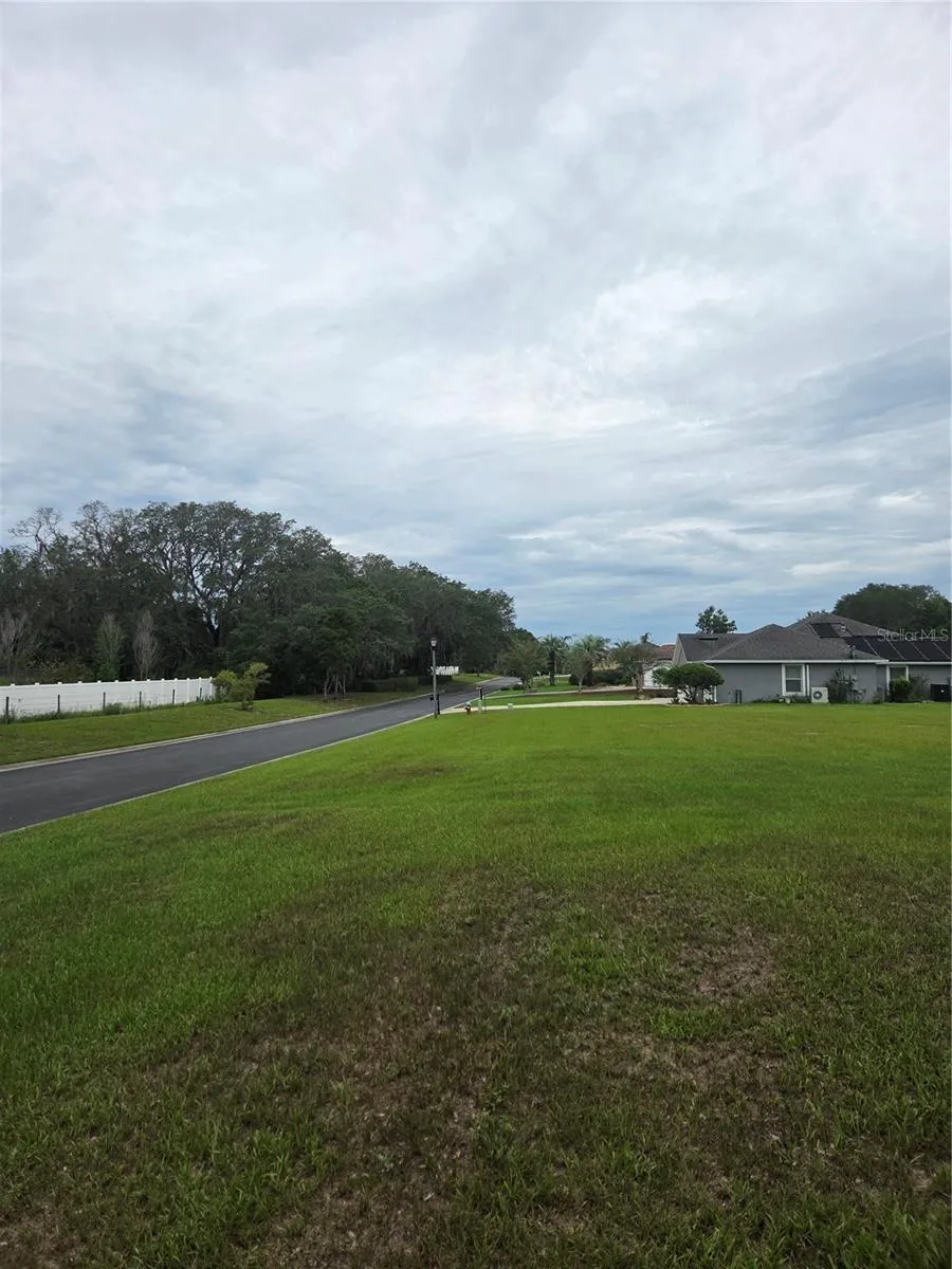 517 DOWLING CIRCLE Lady Lake, FL 32159