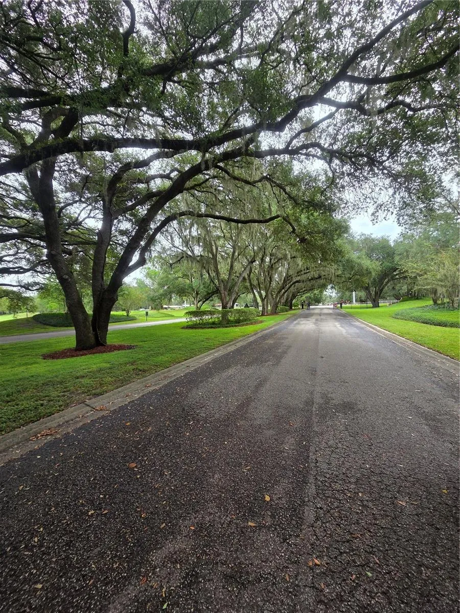 517 DOWLING CIRCLE Lady Lake, FL 32159