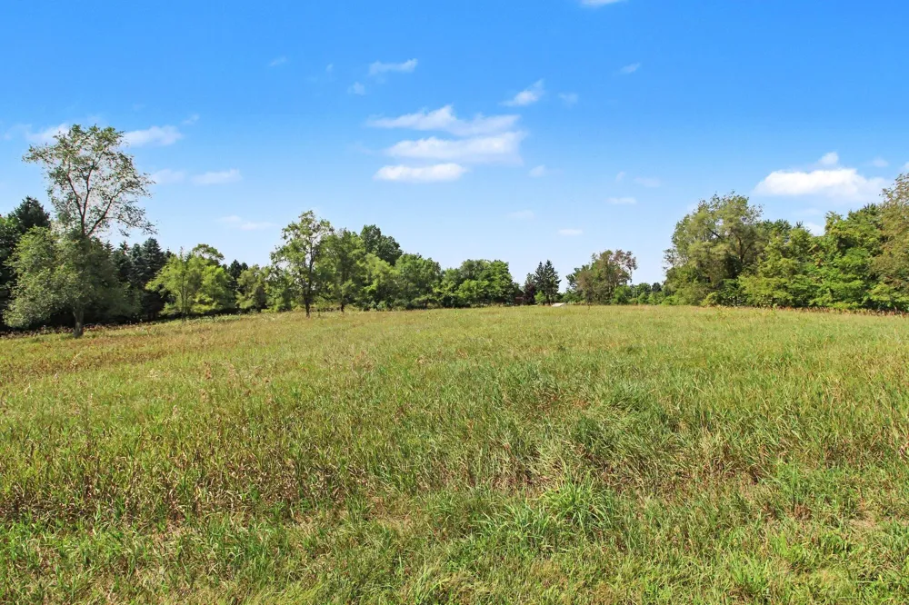 S Freer Road #Parcel -053 Chelsea, MI 48118