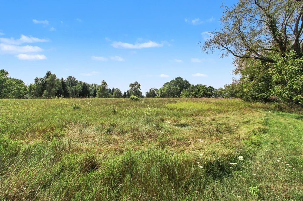 S Freer Road #Parcel -053 Chelsea, MI 48118