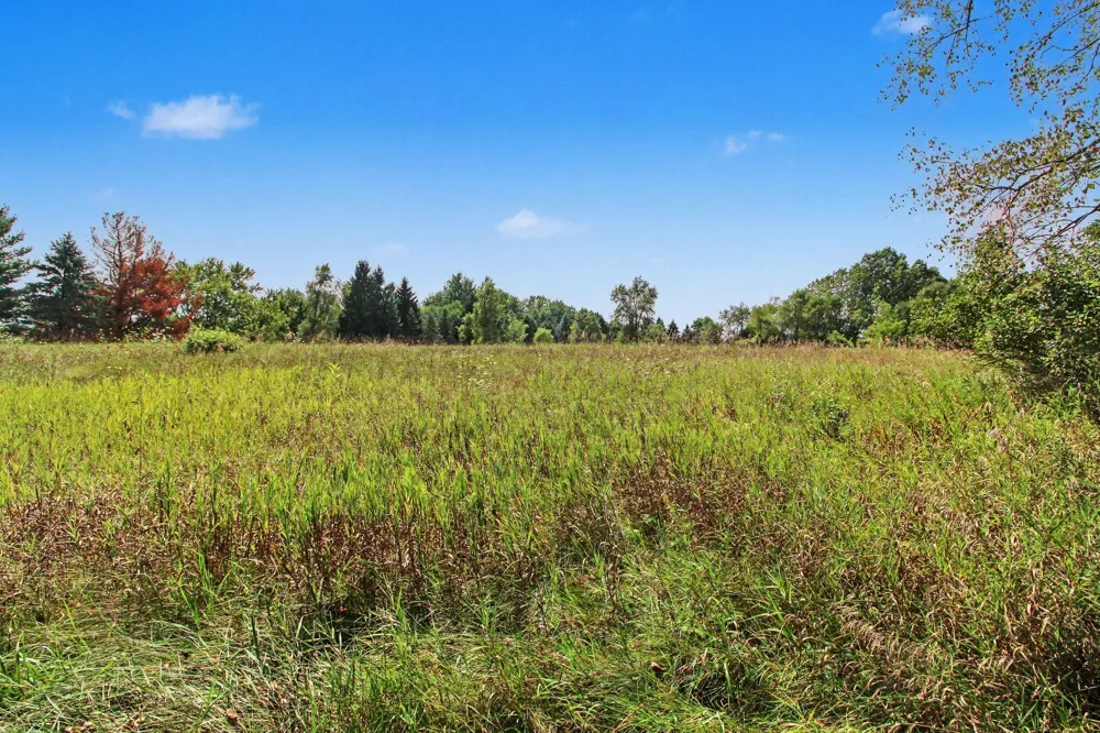 S Freer Road #Parcel -053 Chelsea, MI 48118