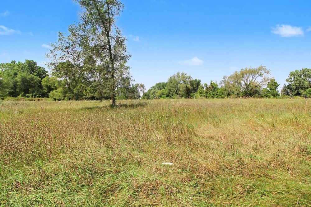 S Freer Road #Parcel -053 Chelsea, MI 48118