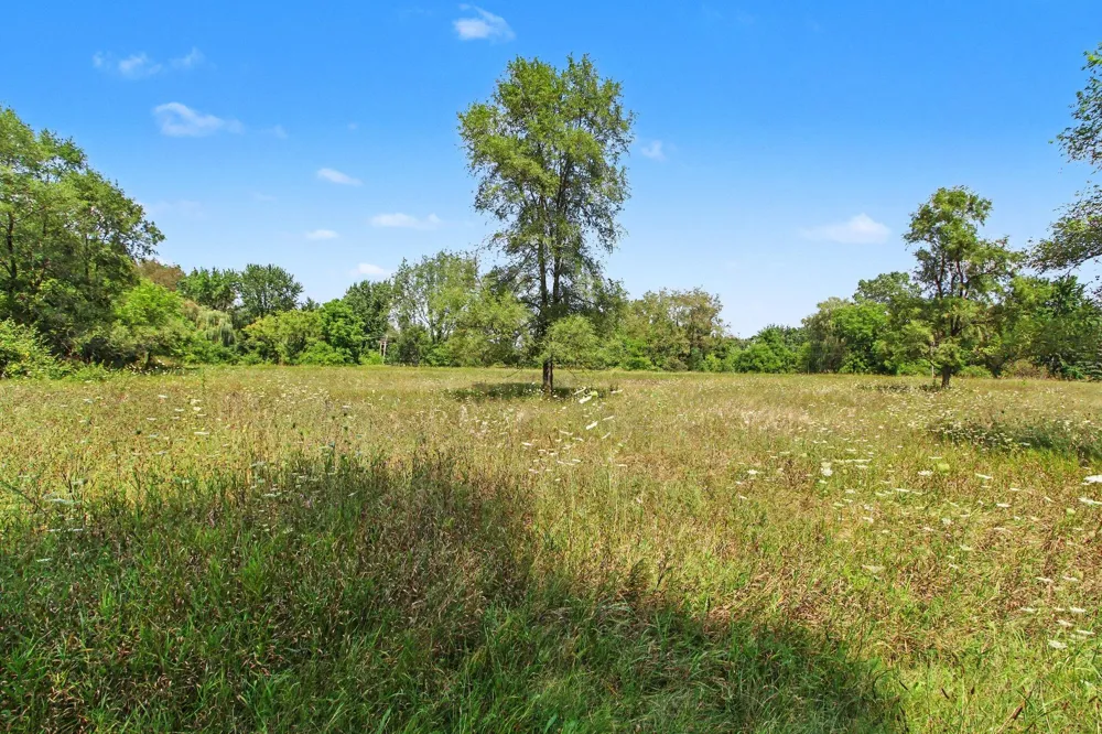 S Freer Road #Parcel -053 Chelsea, MI 48118