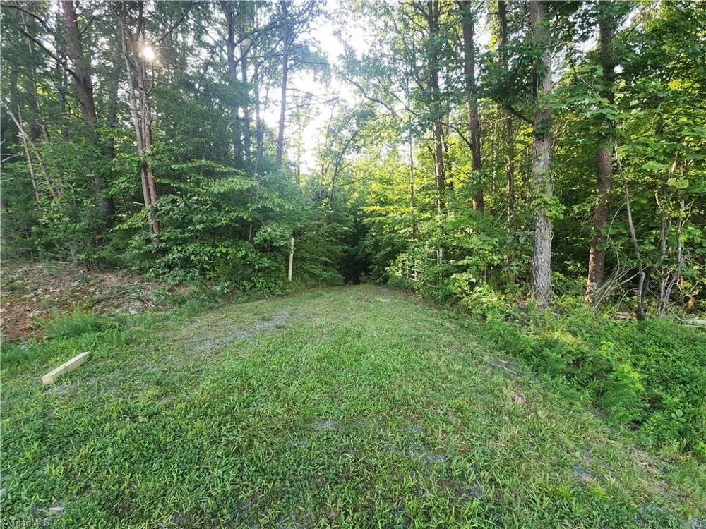 0 River Bluff Farms Road Tobaccoville, NC 27050