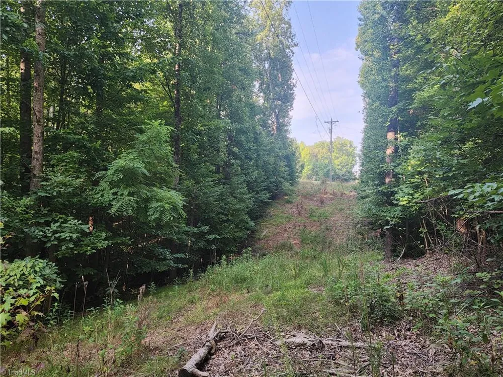 0 River Bluff Farms Road Tobaccoville, NC 27050