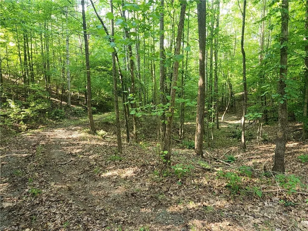 0 River Bluff Farms Road Tobaccoville, NC 27050