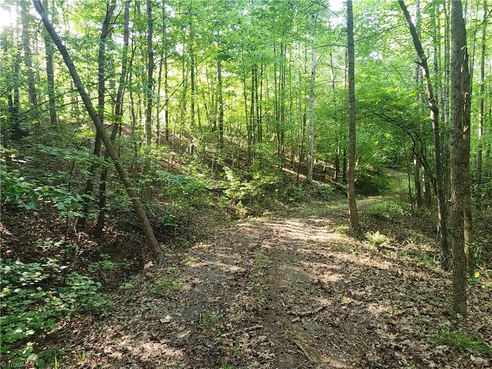 0 River Bluff Farms Road Tobaccoville, NC 27050