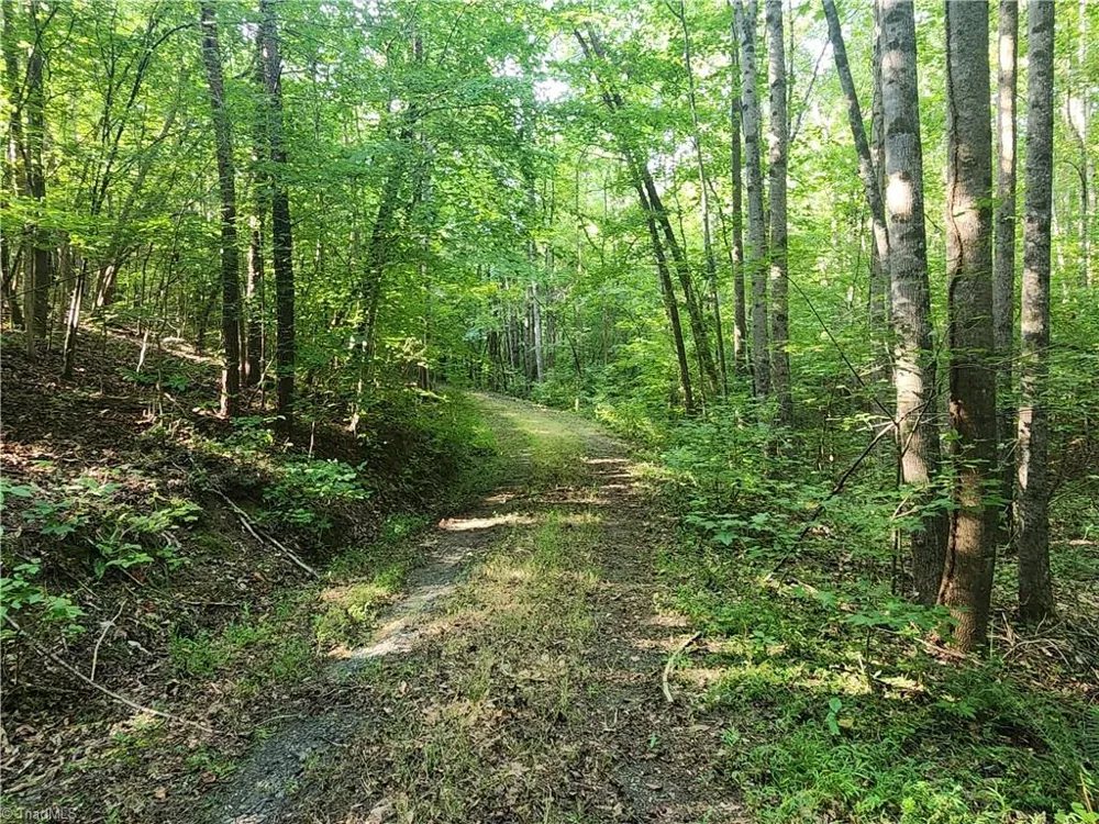 0 River Bluff Farms Road Tobaccoville, NC 27050