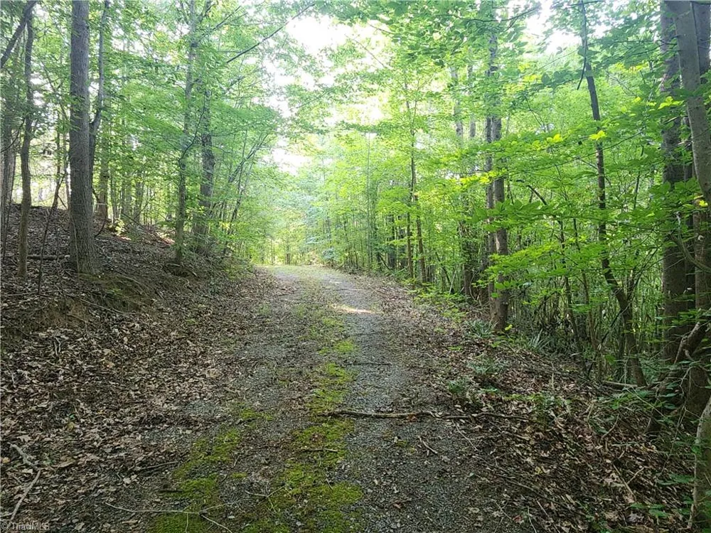 0 River Bluff Farms Road Tobaccoville, NC 27050