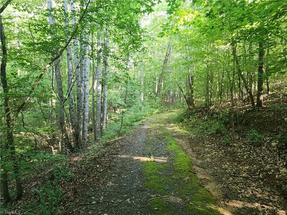 0 River Bluff Farms Road Tobaccoville, NC 27050