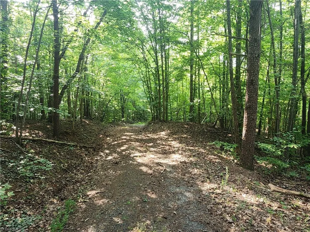0 River Bluff Farms Road Tobaccoville, NC 27050