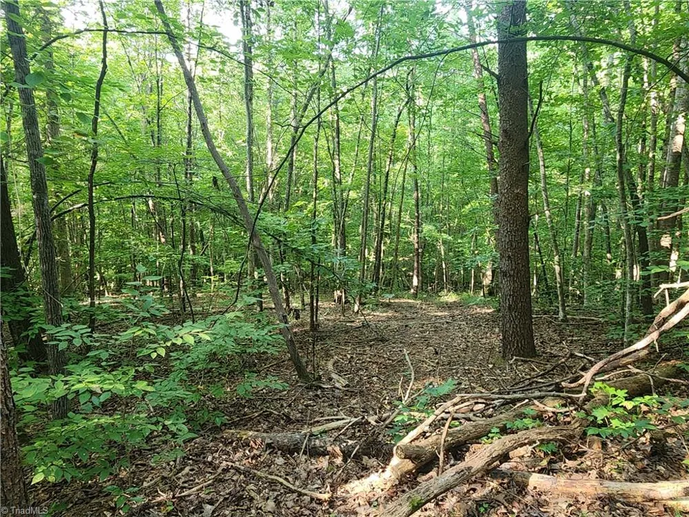 0 River Bluff Farms Road Tobaccoville, NC 27050