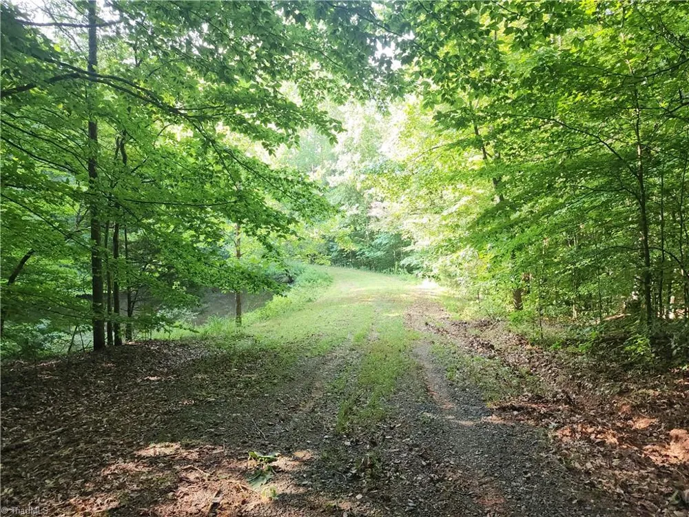 0 River Bluff Farms Road Tobaccoville, NC 27050