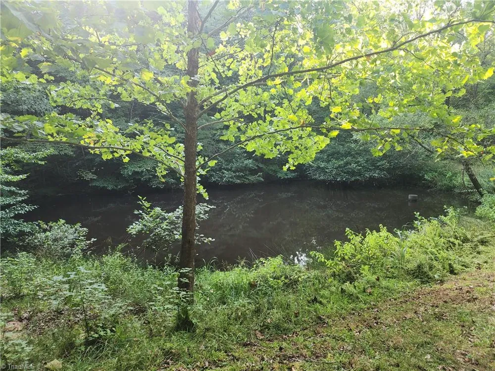 0 River Bluff Farms Road Tobaccoville, NC 27050