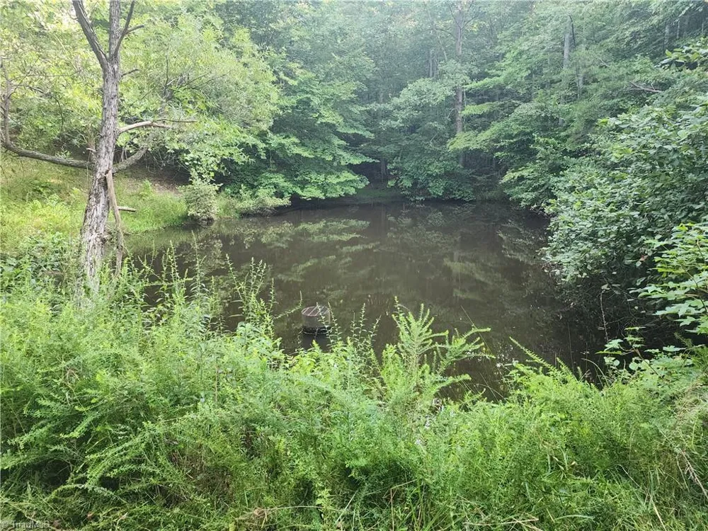 0 River Bluff Farms Road Tobaccoville, NC 27050