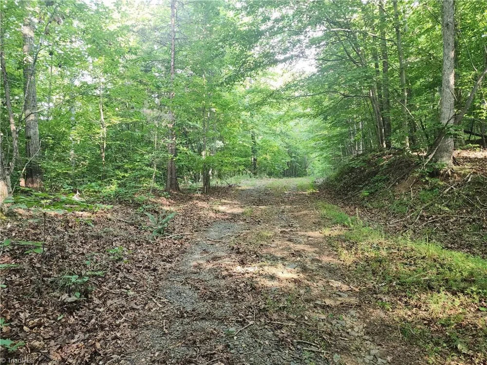 0 River Bluff Farms Road Tobaccoville, NC 27050