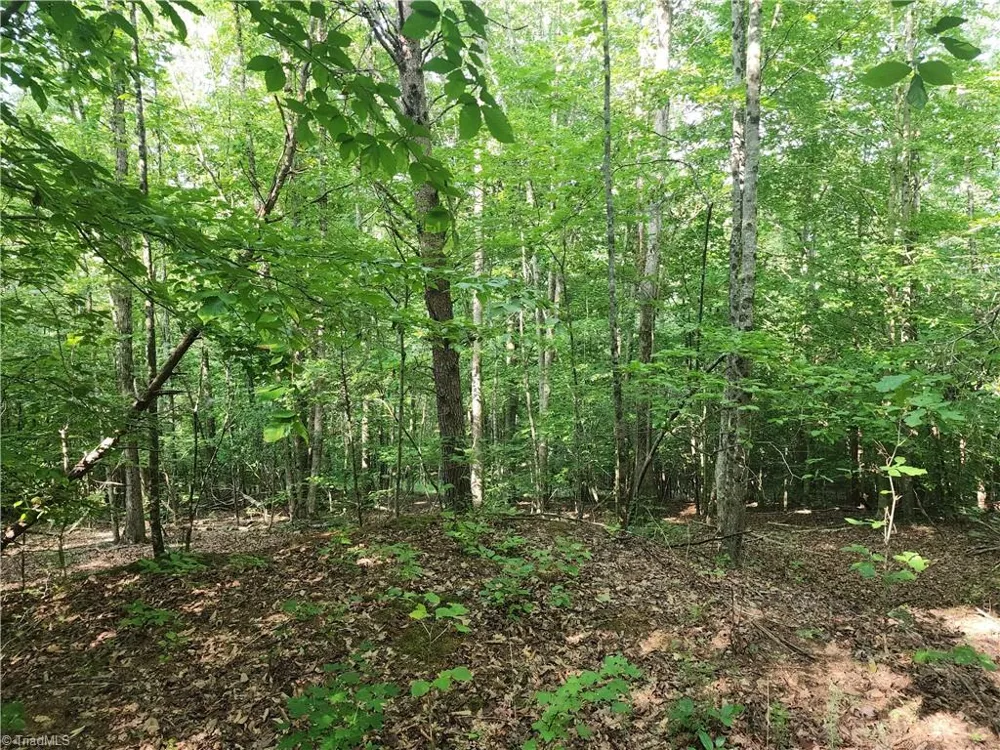 0 River Bluff Farms Road Tobaccoville, NC 27050