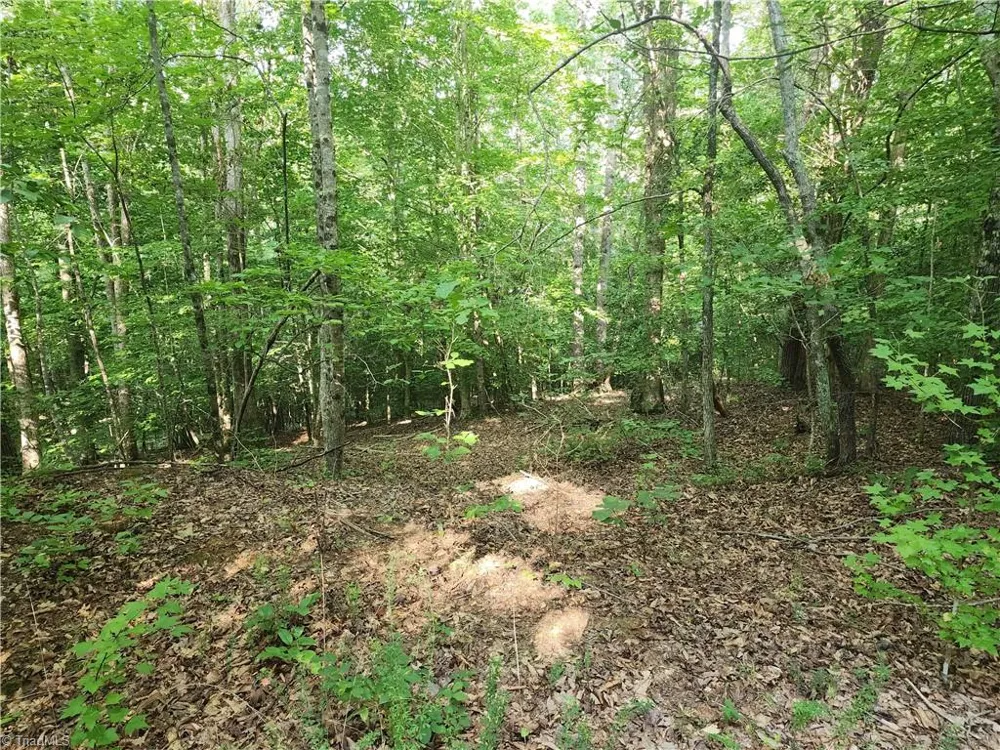 0 River Bluff Farms Road Tobaccoville, NC 27050