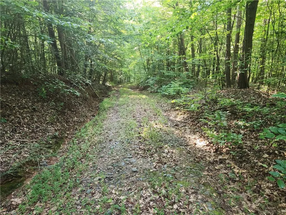 0 River Bluff Farms Road Tobaccoville, NC 27050