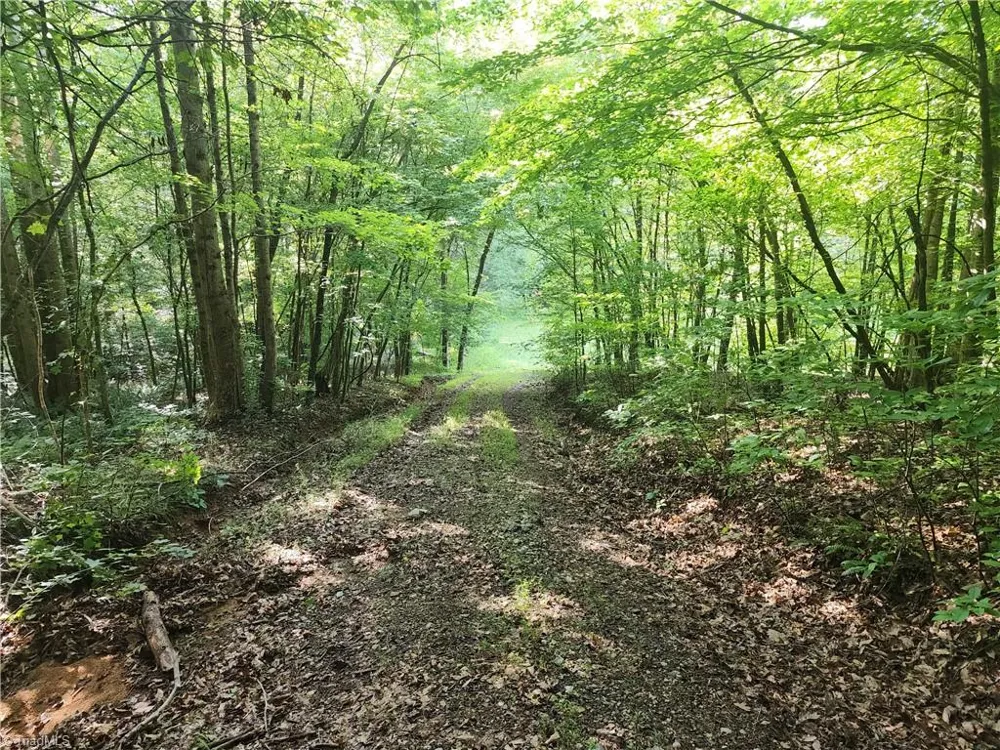 0 River Bluff Farms Road Tobaccoville, NC 27050