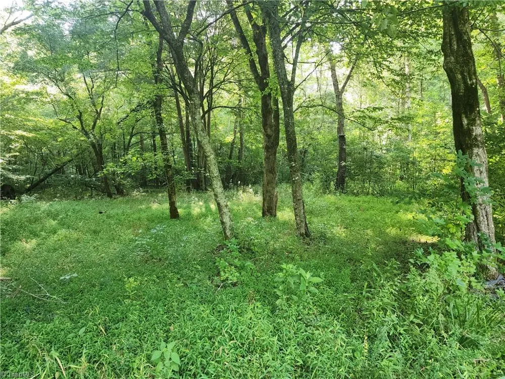 0 River Bluff Farms Road Tobaccoville, NC 27050