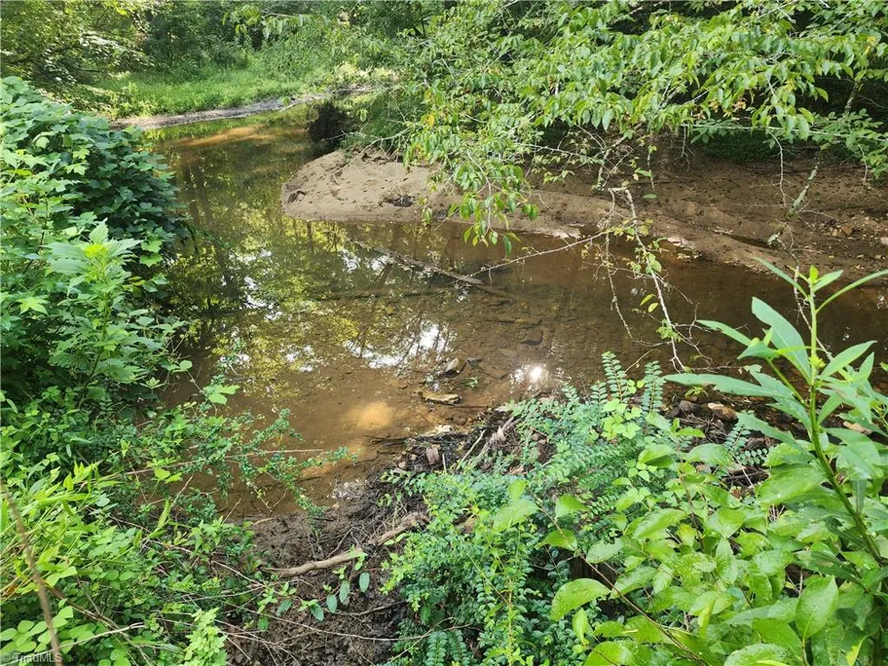 0 River Bluff Farms Road Tobaccoville, NC 27050