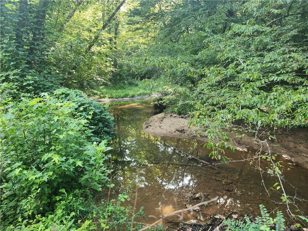 0 River Bluff Farms Road Tobaccoville, NC 27050