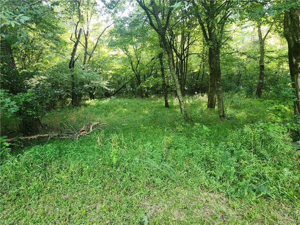 0 River Bluff Farms Road Tobaccoville, NC 27050