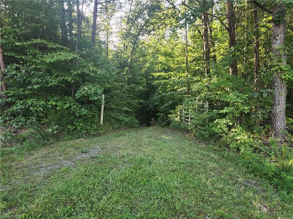 0 River Bluff Farms Road Tobaccoville, NC 27050