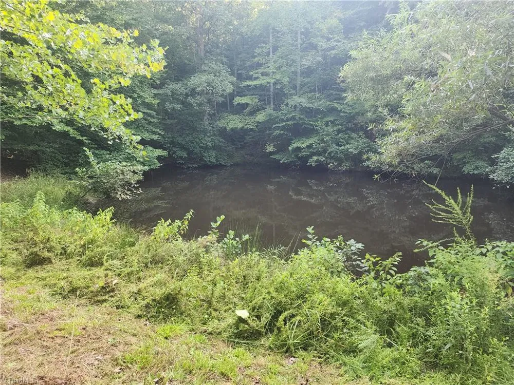 0 River Bluff Farms Road Tobaccoville, NC 27050